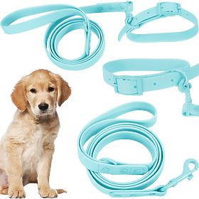 Dog Leash and Collar PJ-074 Blue M, PuppyJoy