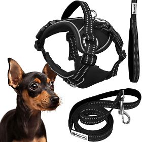 Dog Leash and Harness PJ-051 Black S