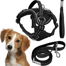 Dog Leash and Harness PJ-055 Black M, PuppyJoy