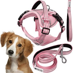 Dog Leash and Harness PJ-056 Pink M, PuppyJoy