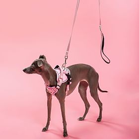 Dog Leash and Harness PJ-056 Pink M, PuppyJoy