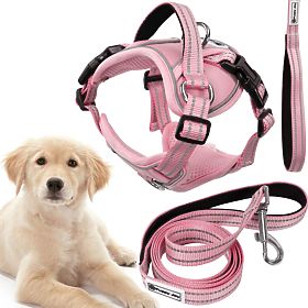 Dog Leash and Harness PJ-060 Pink L