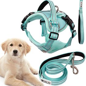 Dog Leash and Harness PJ-061 Green L, PuppyJoy