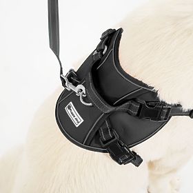 Dog Leash and Harness PJ-063 Black XL