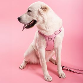 Dog Leash and Harness PJ-064 Pink XL, PuppyJoy