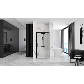 Rapid Swing 80 Shower Door