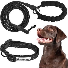 Reflective Dog Leash and Collar PJ-091 Black